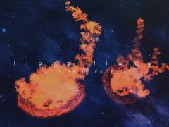 -华夏文旅西安度假区