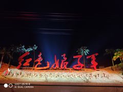 -三亚红色娘子军演艺公园景区