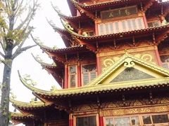-龙潭水乡