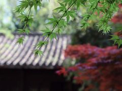 -采石矶景区
