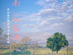 -海南霸王岭国家森林公园