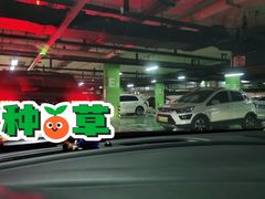 -鹏欣水游城