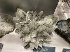-中国地质博物馆