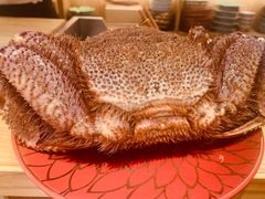 -加奈日本料理