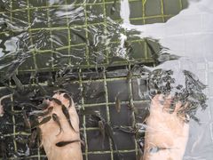 -七彩云南古滇温泉山庄