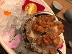 -和·铁板烧·OMAKASE(望京昆泰嘉晟酒店)