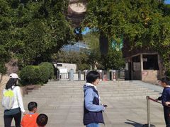 -石老人观光园