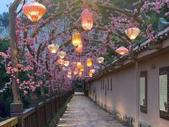 -车溪民俗旅游区