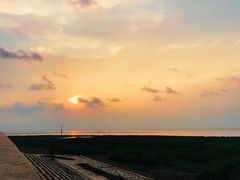 -南汇嘴观海公园