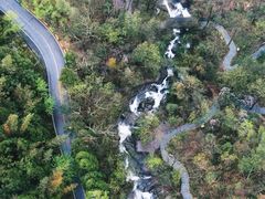 -大围山国家森林公园