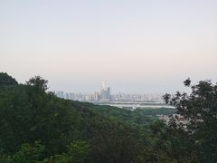 -茶颜悦色(岳麓山顶店)