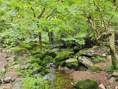 -雁荡山风景名胜区