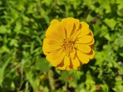 -杜氏旅游度假区