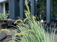 -M Stand(深圳龙岗万科广场店)