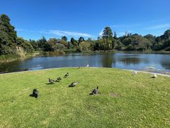 -墨尔本皇家植物园