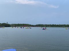 -营地公园·团建拓展·亲子户外(奉贤店)