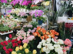 -桂林市花鸟市场