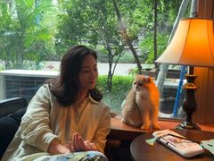 -咖法森林·咖啡  酒吧(天河店)