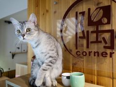 -隅cafe(傅厚岗店)