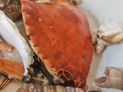 -莲花公园煎蟹(总店)