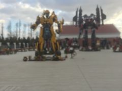 -上海长兴岛郊野公园