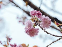 -贵阳市花溪国家城市湿地公园