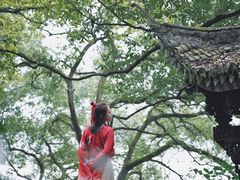 -严子陵钓台(富春江小三峡)