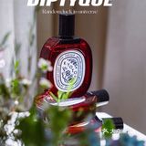 上海展览|diptyque展览·无界之行 超多礼物