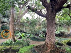 -Chom Cafe and Restaurant