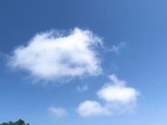 -塔云山