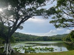 -番禺大夫山森林公园