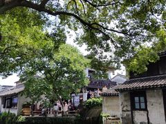 -周庄古镇景区-双桥