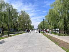 -野鸭湖国家湿地公园