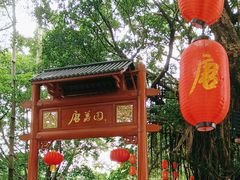 -侨美·唐荔园·40年地道粤菜