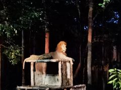 -清迈夜间动物园
