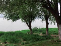 -武昌江滩