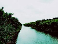 -黄海国家森林公园