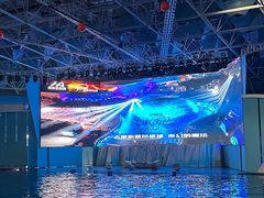 -海合安青岛极地海洋公园