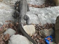 android_upload_pic-东姑阿都拉曼海洋公园