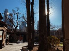 -静园(和平区)