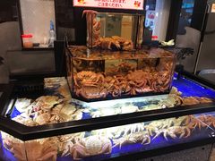 -蟹道乐(道顿堀本店)