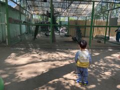 -1982农场