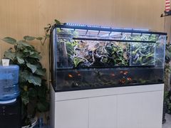 -神奇科学家STEAM科学实验科创赛事机器人编程逻辑思维MadScience(长宁来福士校区)