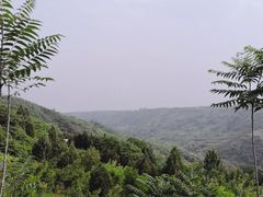 -白鹿原樱桃园