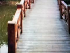 -桤木河湿地公园