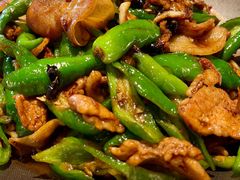 辣椒炒肉-亦海人家烤鸭店(康定街店)