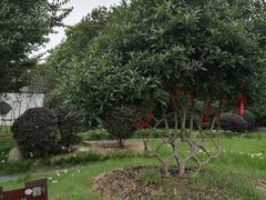 -武汉紫薇都市田园