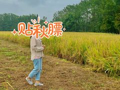 -桤木河湿地公园