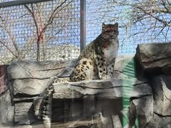 -青藏高原野生动物园