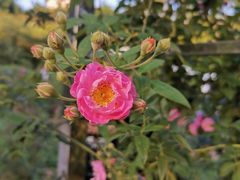 -人民公园(罗湖区)